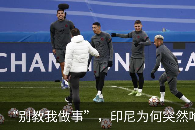“别教我做事”，印尼为何突然呛声新加坡？