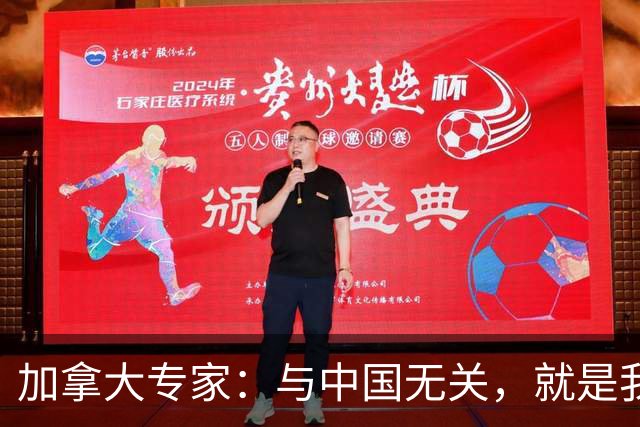 加拿大专家：与中国无关，就是我们干的
