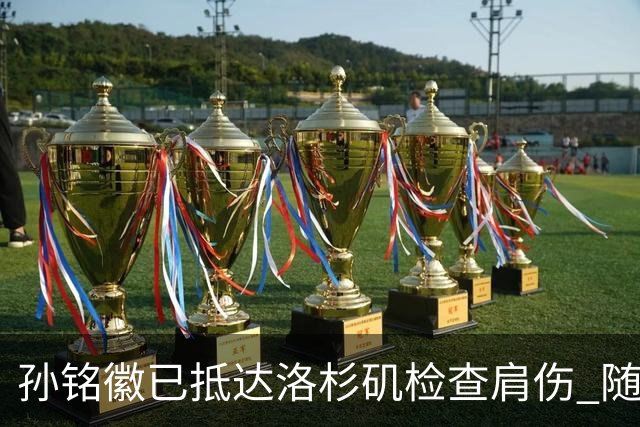 孙铭徽已抵达洛杉矶检查肩伤 随后将进行特训