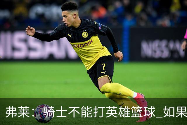 弗莱：骑士不能打英雄篮球 如果认清自身定位会非常危险