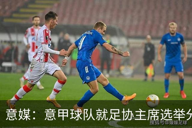 意媒：意甲球队就足协主席选举分为马拉戈、加利亚尼两个阵营