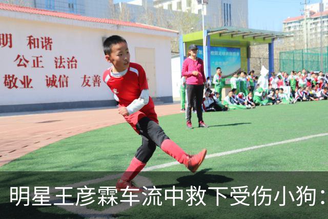 明星王彦霖车流中救下受伤小狗：医生说它生完就被扔了，王彦霖决定收养它，取名Lucky。