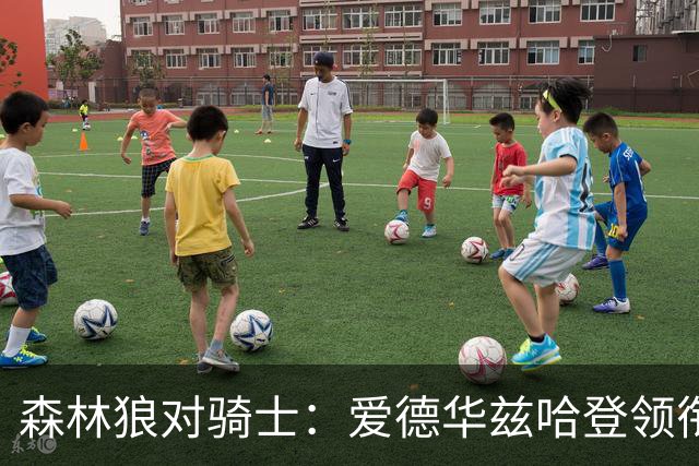 森林狼对骑士：爱德华兹哈登领衔，两队伤情成看点