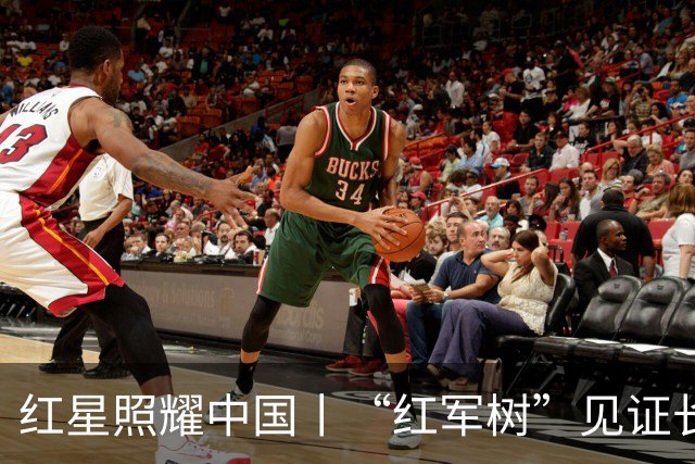 红星照耀中国丨“红军树”见证长征路