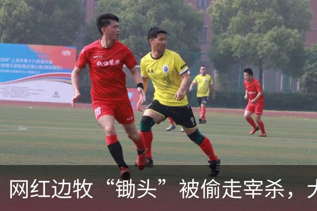 网红边牧“锄头”被偷走宰杀，犬主最新回应：双方已和解，对方赔偿30万元，将全部捐给宠物救助机构