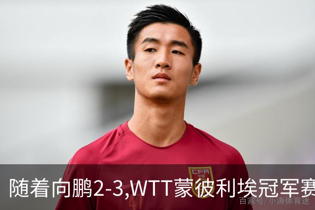 随着向鹏2-3,WTT蒙彼利埃冠军赛男单16强已出15席：仅3名国乒选手