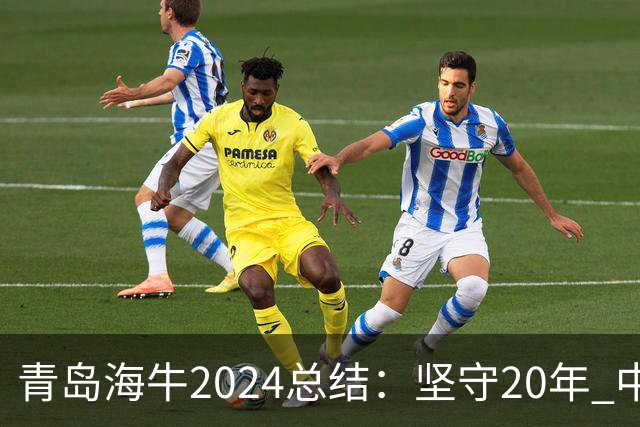 青岛海牛2024总结：坚守20年 中能的拼争与困境