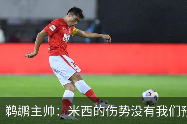 鹈鹕主帅：米西的伤势没有我们预想的那么严重