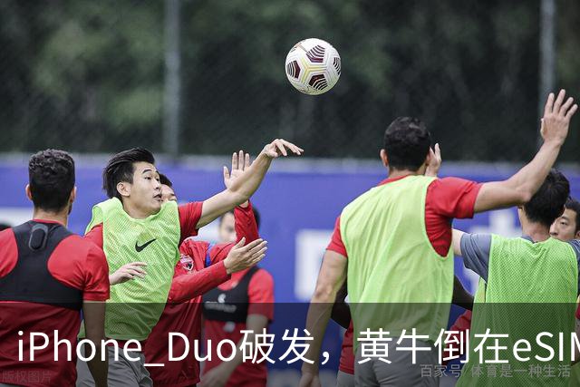 iPhone Duo破发，黄牛倒在eSIM